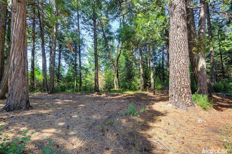 5361 Robert Rd, Pollock Pines, CA 95726 photo 18
