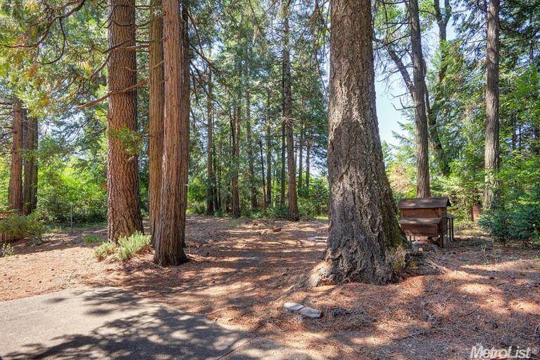 5361 Robert Rd, Pollock Pines, CA 95726 photo 21