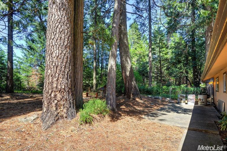 5361 Robert Rd, Pollock Pines, CA 95726 photo 17