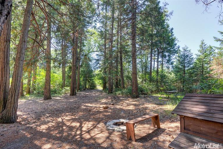 5361 Robert Rd, Pollock Pines, CA 95726 photo 20