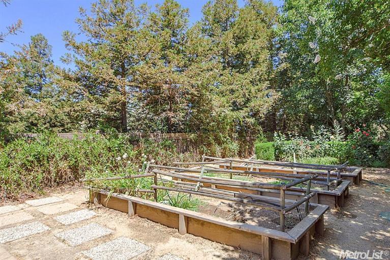 39718 Northstar Pl, Davis, CA 95616 photo 4