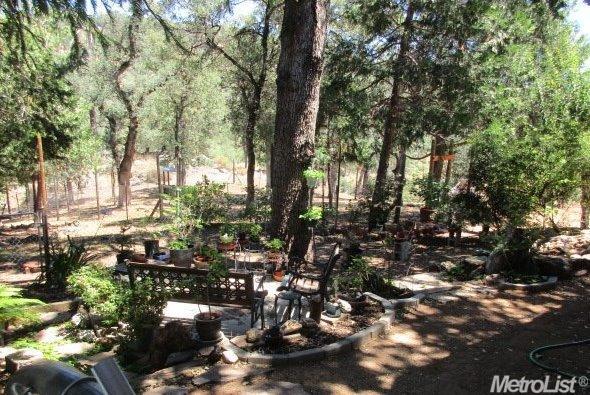 1041 Trails End Dr, Placerville, CA 95667 photo 21