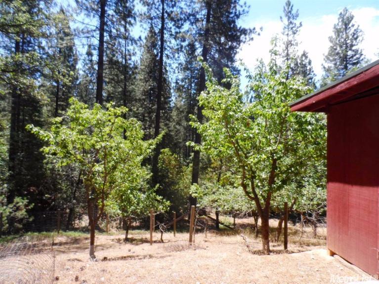 6434 Log Cabin Ln, Placerville, CA 95667 photo 23