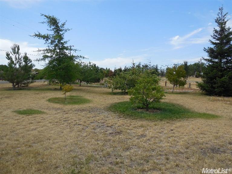 7777 Elmont Ave, Elverta, CA 95626 photo 23