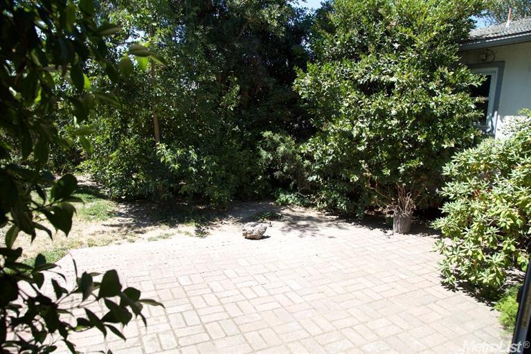 910 Yolo St, Manteca, CA 95337 photo 20