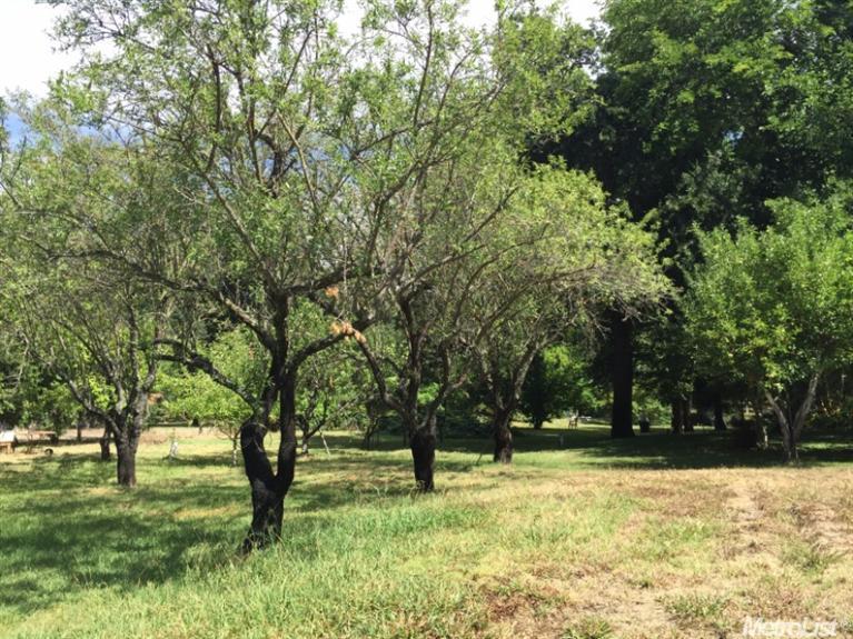 6400 Weston Rd, Loomis, CA 95650 photo 17