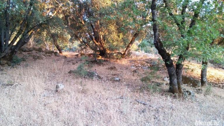 4620 Sand Ridge Rd, Placerville, CA 95667 photo 12