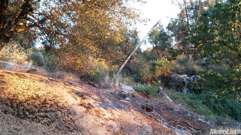 4620 Sand Ridge Rd, Placerville, CA 95667 photo 13