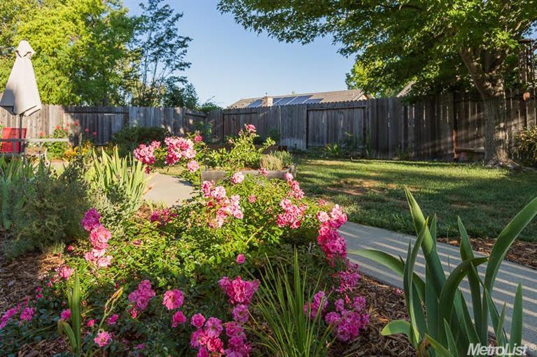4636 Durham Rd, Rocklin, CA 95765 photo 17