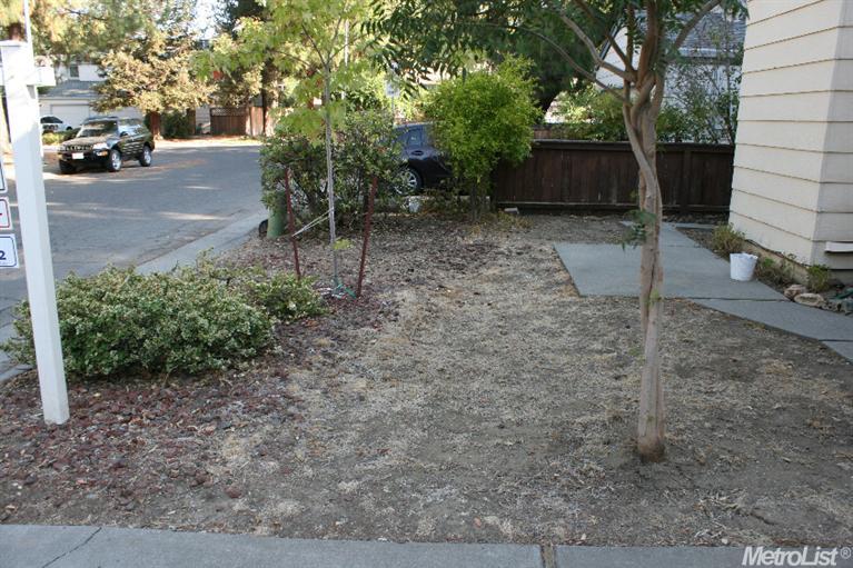 2408 Van Gogh St, Davis, CA 95618 photo 24