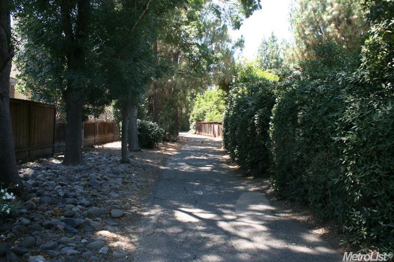 2408 Van Gogh St, Davis, CA 95618 photo 20