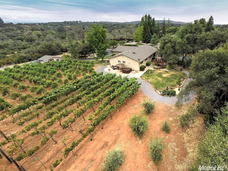2704 Crowdis Ln, Rescue, CA 95672 photo 19