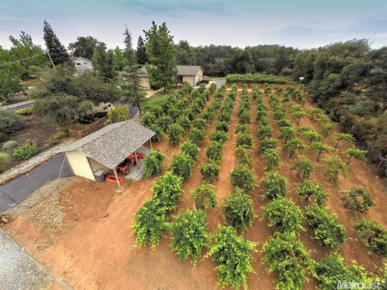 2704 Crowdis Ln, Rescue, CA 95672 photo 22