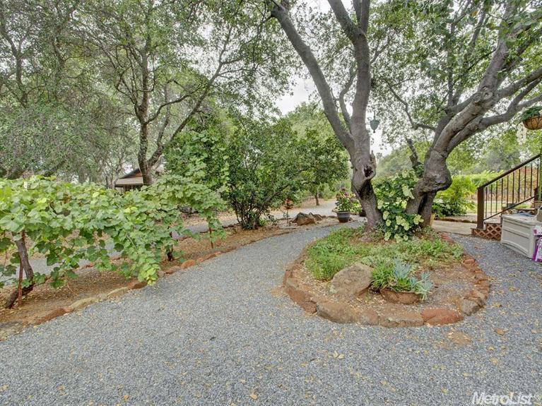 2704 Crowdis Ln, Rescue, CA 95672 photo 17