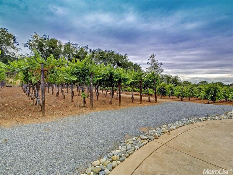2704 Crowdis Ln, Rescue, CA 95672 photo 18