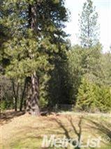 4095 Shale Ridge Rd, Georgetown, CA 95634 photo 9