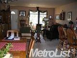 4095 Shale Ridge Rd, Georgetown, CA 95634 photo 5