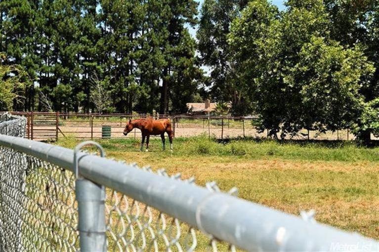 30171 E River Rd, Escalon, CA 95320 photo 17