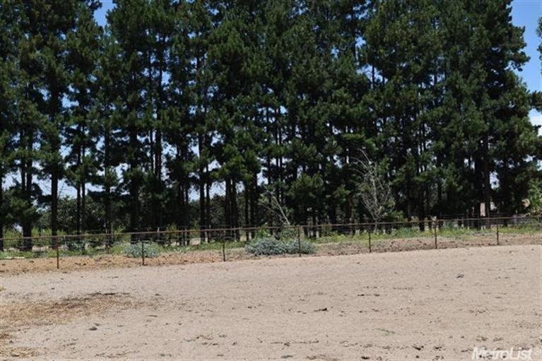 30171 E River Rd, Escalon, CA 95320 photo 19