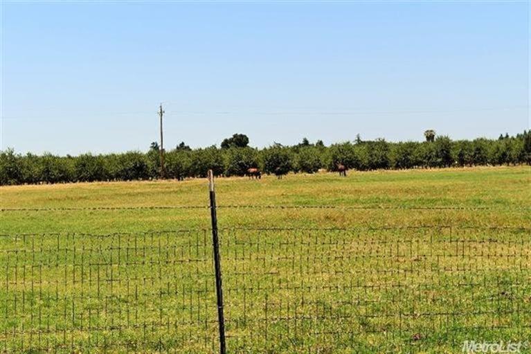 30171 E River Rd, Escalon, CA 95320 photo 23