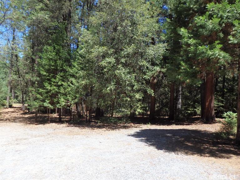 13711 Cedar Pne, Pine Grove, CA 95665 photo 25