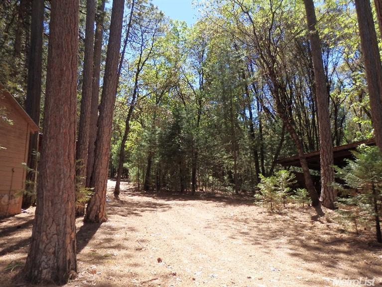 13711 Cedar Pne, Pine Grove, CA 95665 photo 23