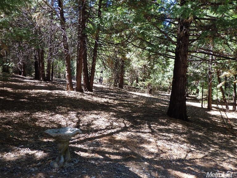 13711 Cedar Pne, Pine Grove, CA 95665 photo 24