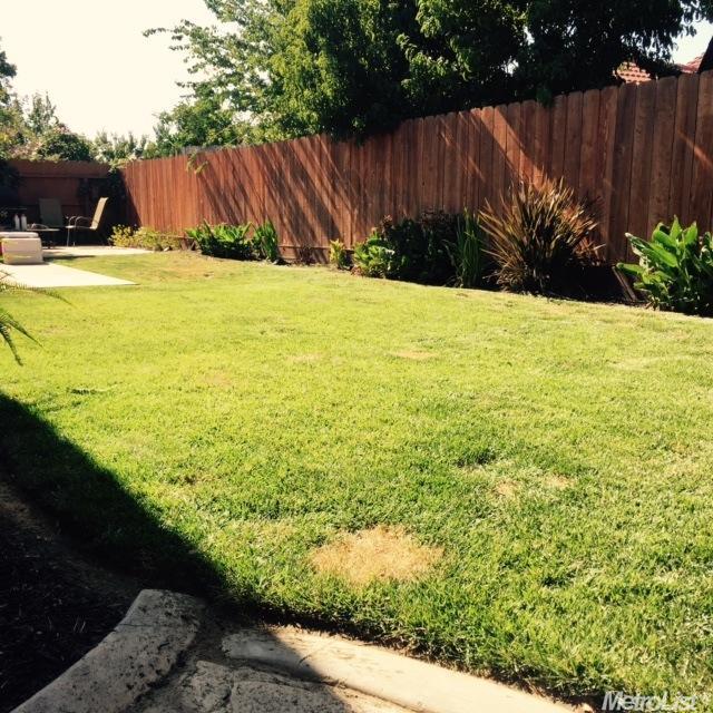 1647 Nehemiah Dr, Manteca, CA 95336 photo 22