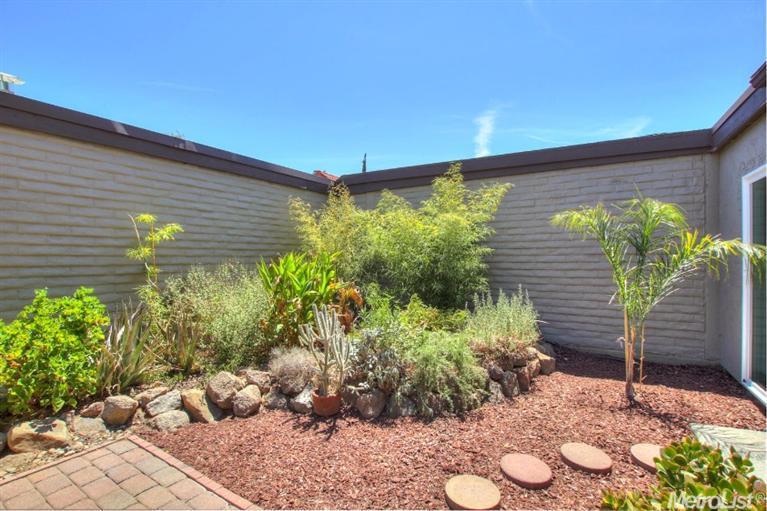 252 Baja Ave, Davis, CA 95616 photo 22