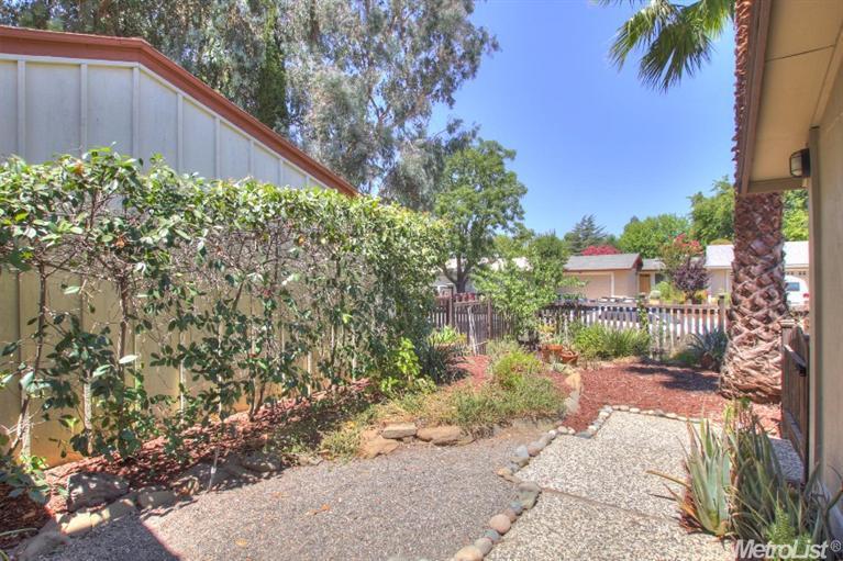 252 Baja Ave, Davis, CA 95616 photo 24