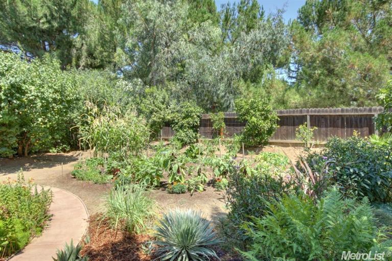 512 Jerome St, Davis, CA 95616 photo 24