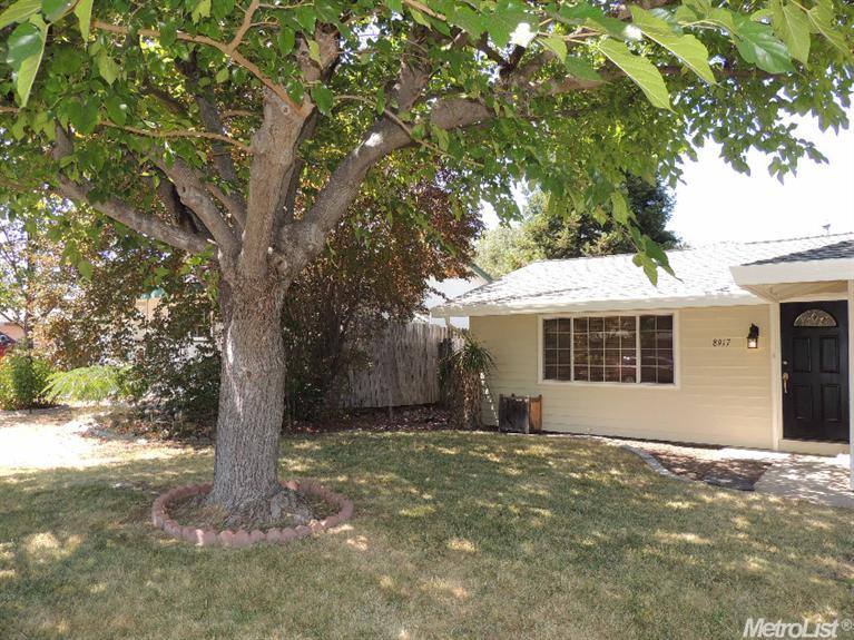 8917 Ramstad Ave, Fair Oaks, CA 95628 photo 20