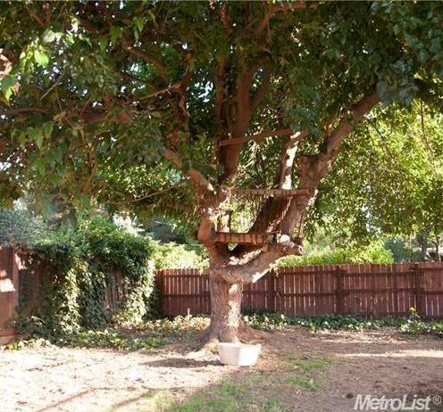4939 Heatherdale Ln, Carmichael, CA 95608 photo 17