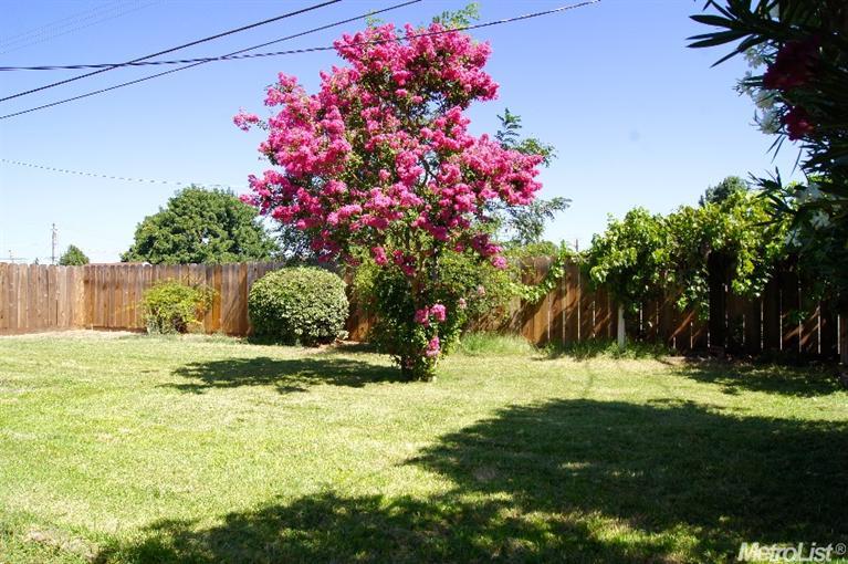 335 Dan St, Manteca, CA 95336 photo 20