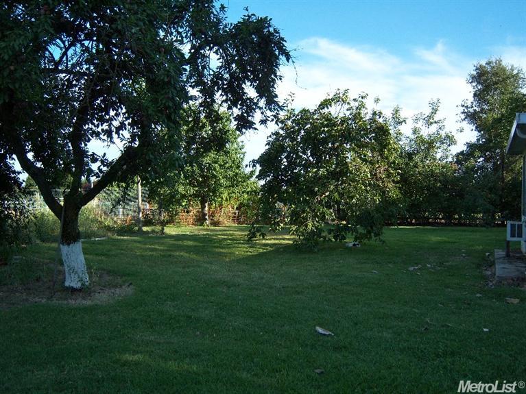 3153 Delmar Ave, Loomis, CA 95650 photo 8