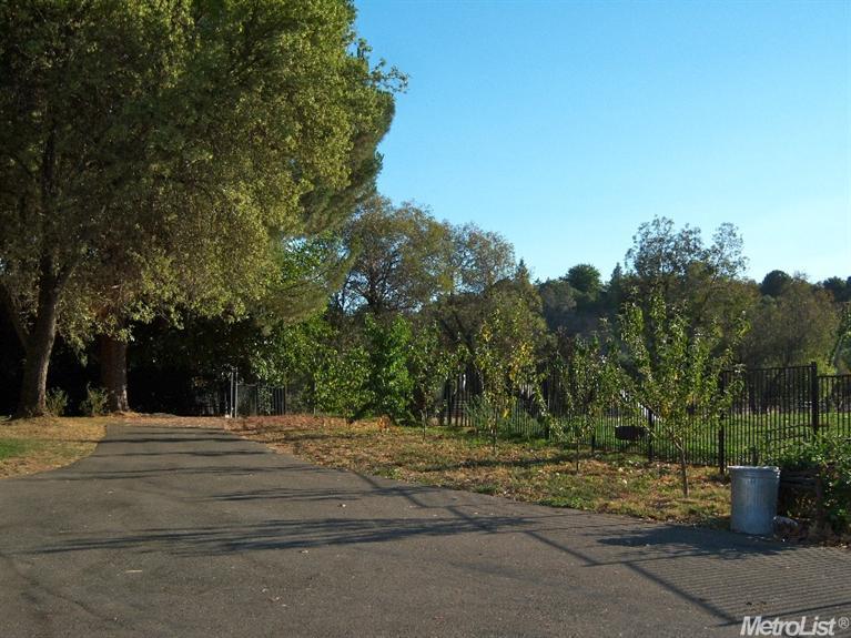 3153 Delmar Ave, Loomis, CA 95650 photo 2