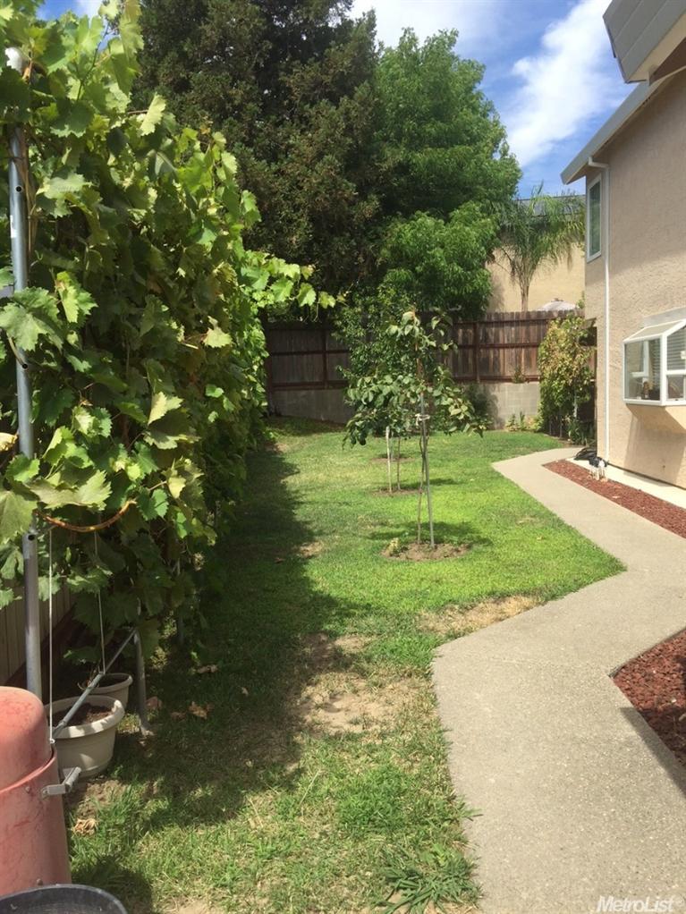 4729 Genero Way, Antelope, CA 95843 photo 22