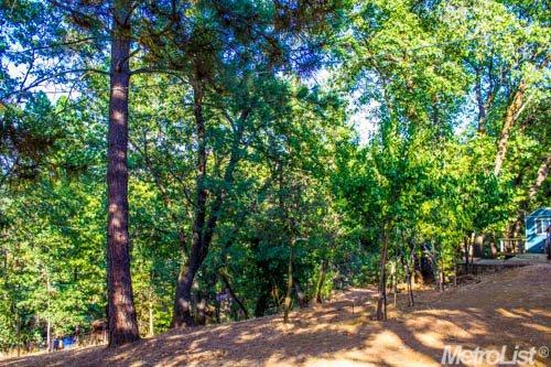 925 Pine Hill Rd, Colfax, CA 95713 photo 18