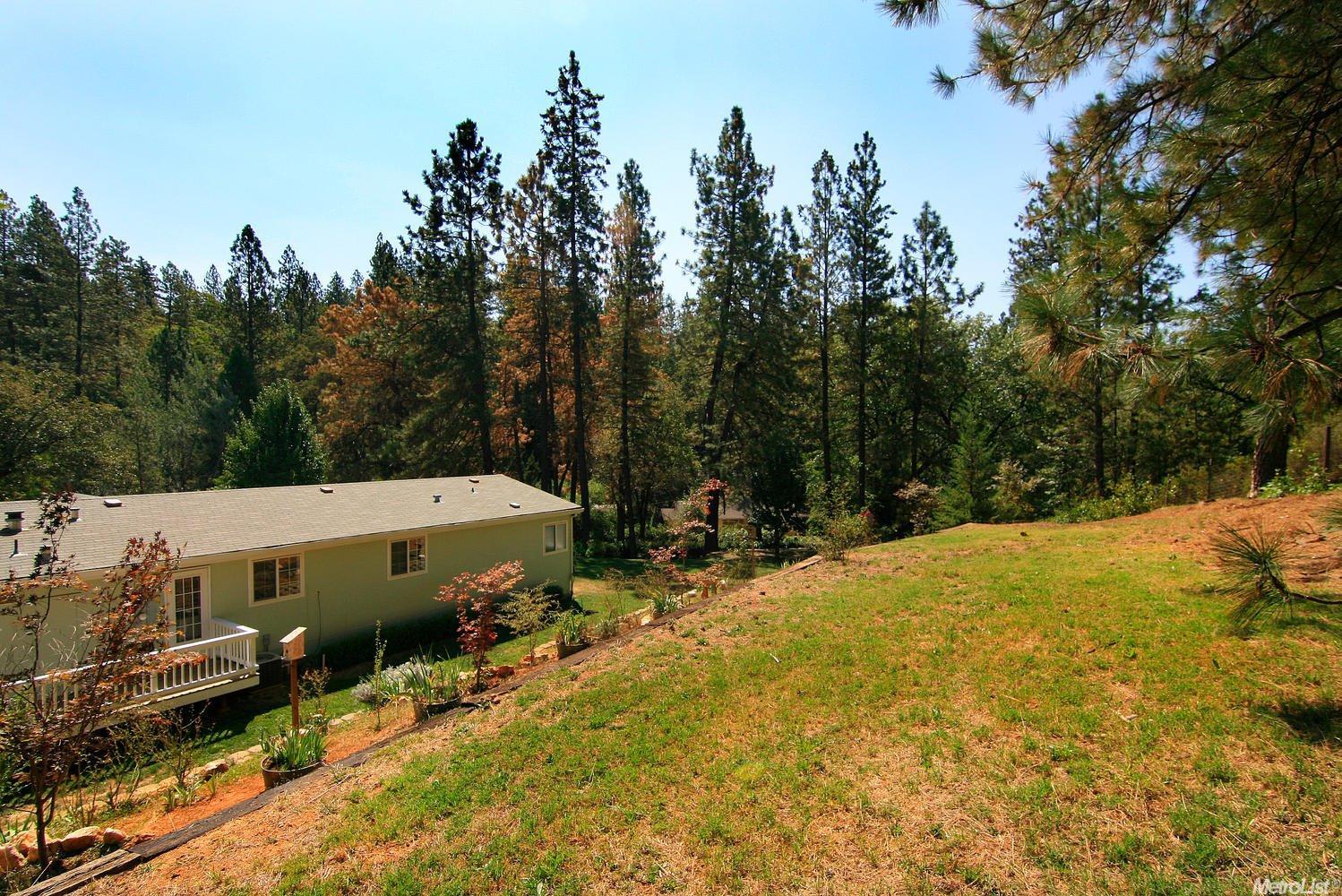 1044 Dog Bar Rd, Colfax, CA 95713 photo 7
