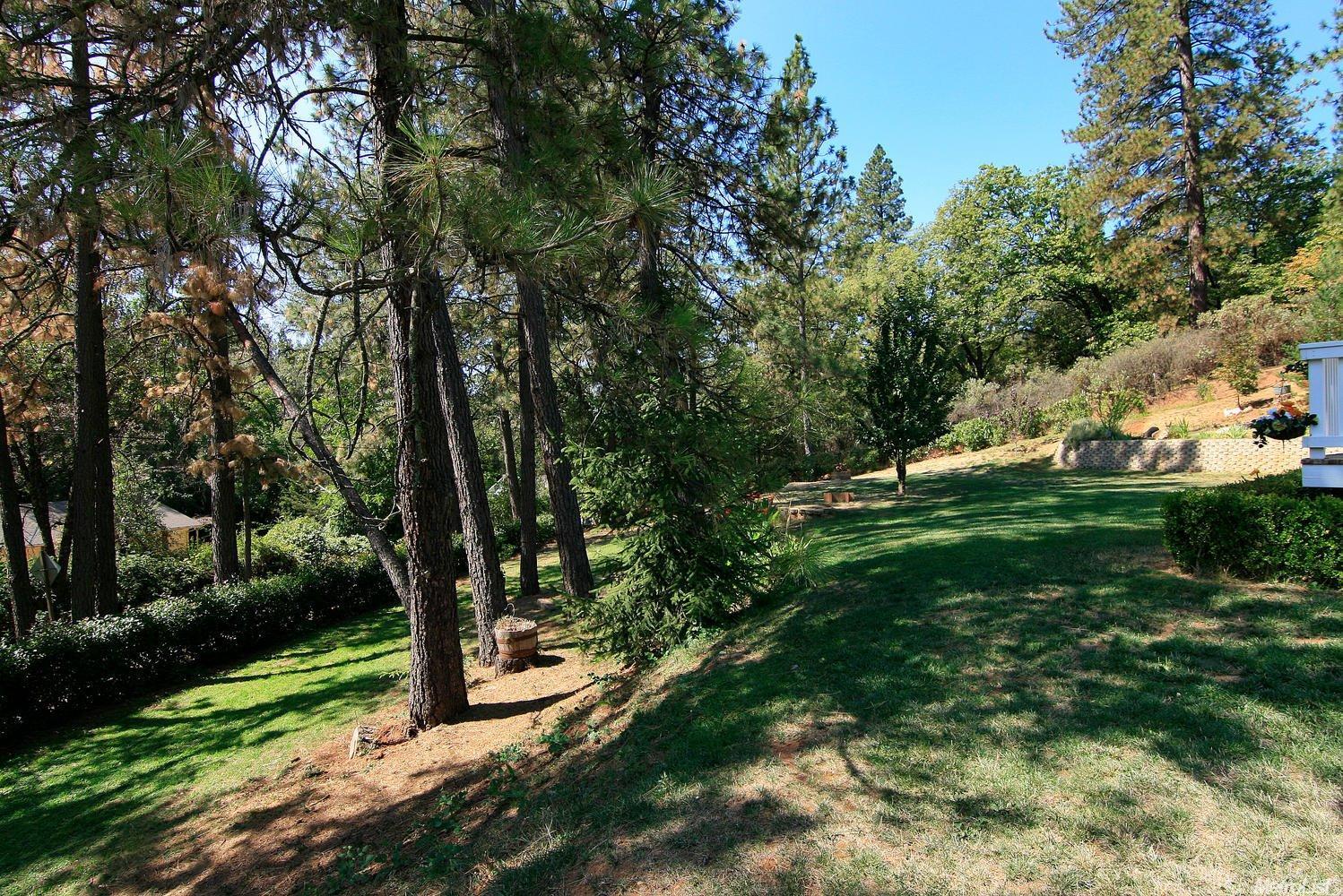 1044 Dog Bar Rd, Colfax, CA 95713 photo 25