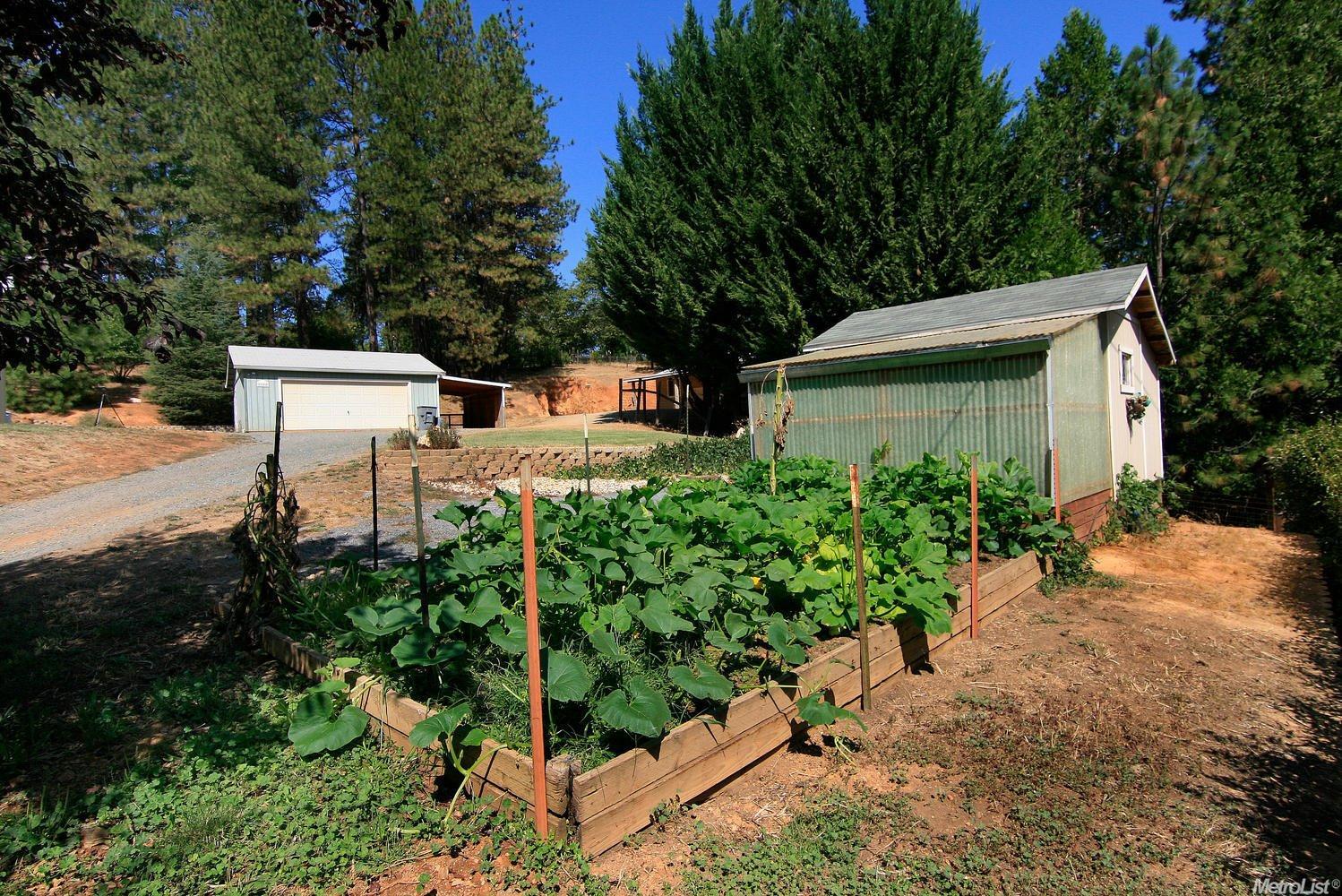 1044 Dog Bar Rd, Colfax, CA 95713 photo 8