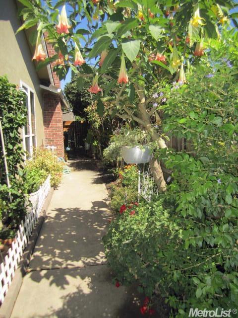 351 La Setta Dr, Lodi, CA 95242 photo 23