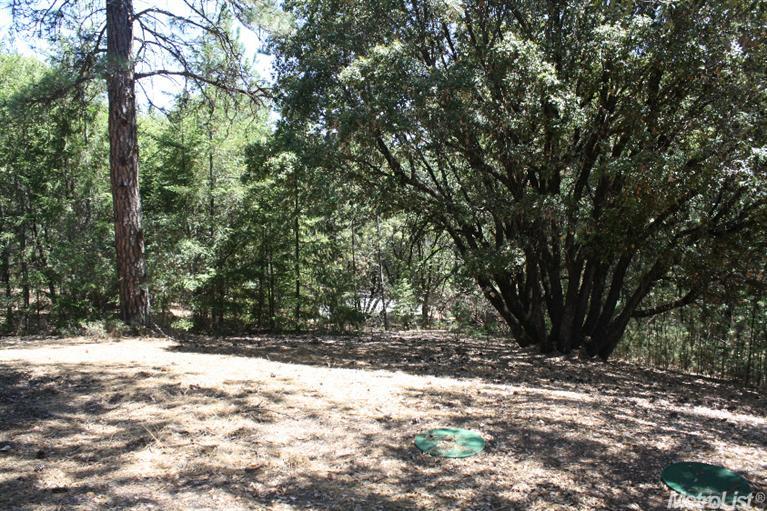 1050 Boole Rd, Applegate, CA 95703 photo 17