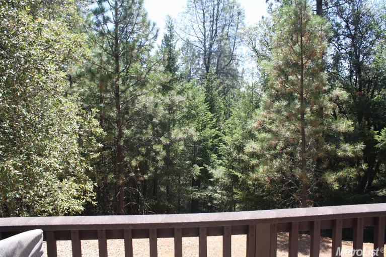 1050 Boole Rd, Applegate, CA 95703 photo 20