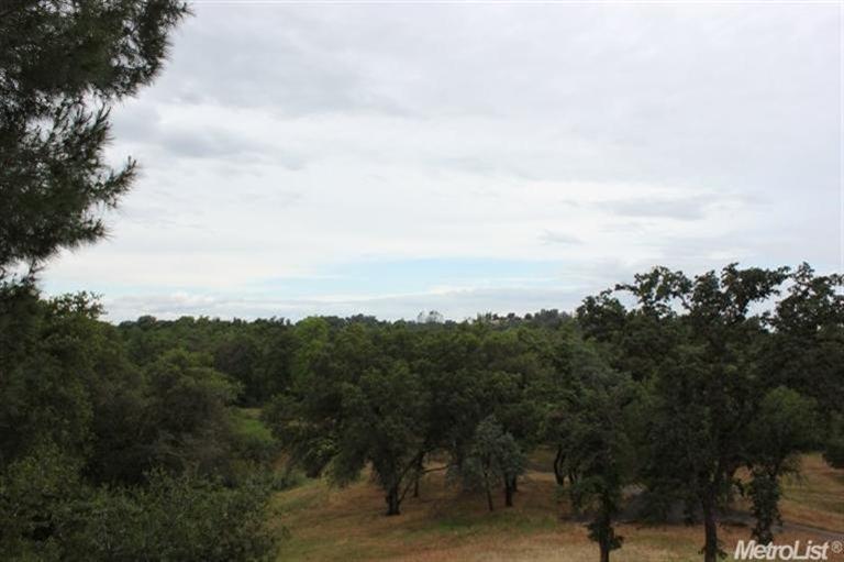 3900 Greenview Ln, Loomis, CA 95650 photo 5