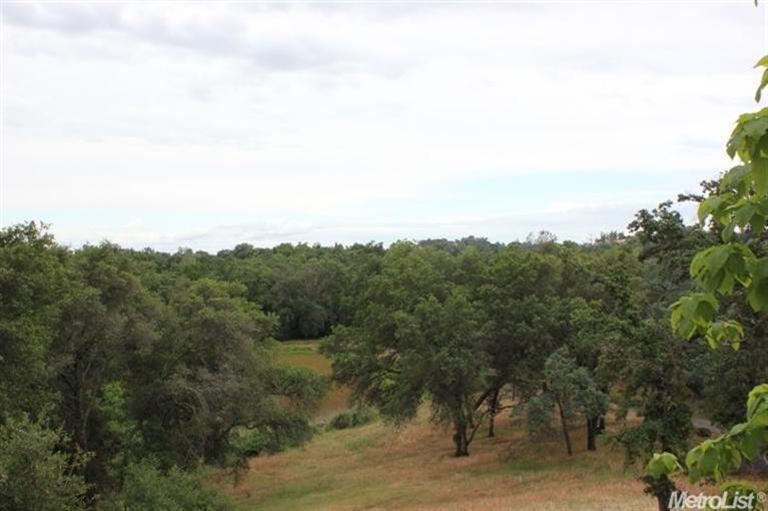 3900 Greenview Ln, Loomis, CA 95650 photo 4