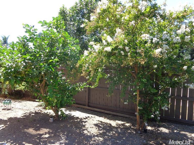3601 Will Scarlet Ct, Modesto, CA 95355 photo 24