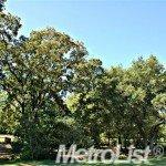 5013 Robander, Carmichael, CA 95608 photo 20