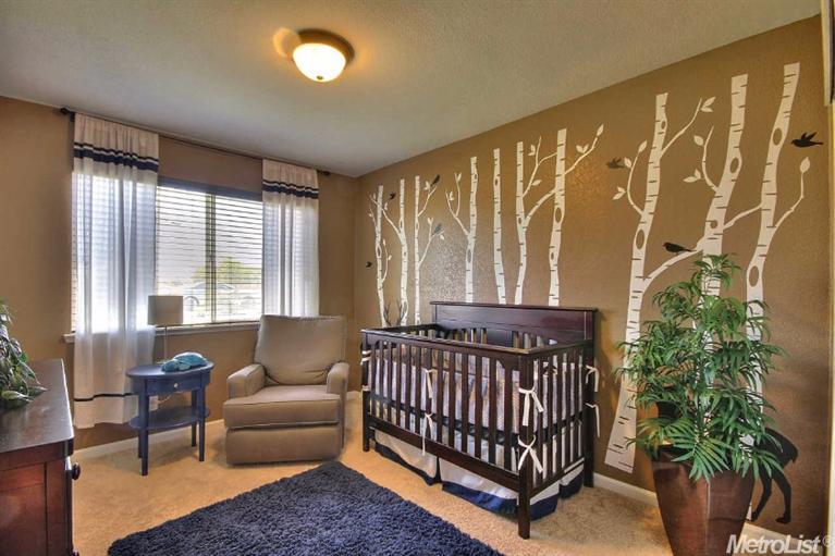 1675 Elverta Rd, Elverta, CA 95626 photo 9