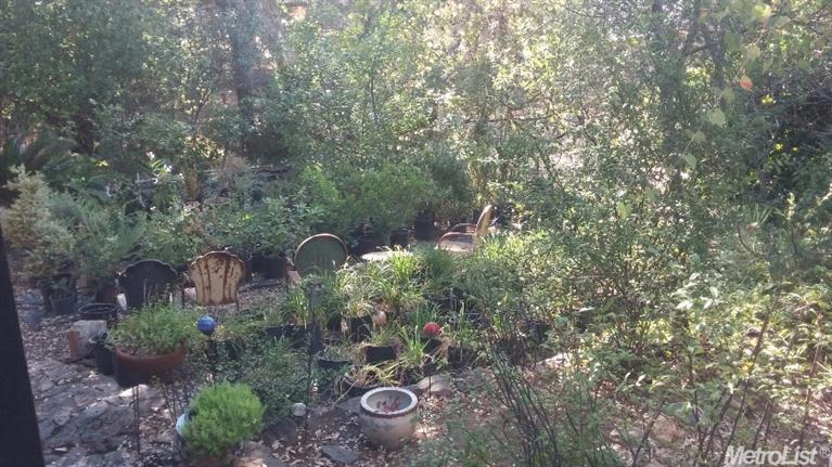3920 Rustic Rd, Cameron Park, CA 95682 photo 18